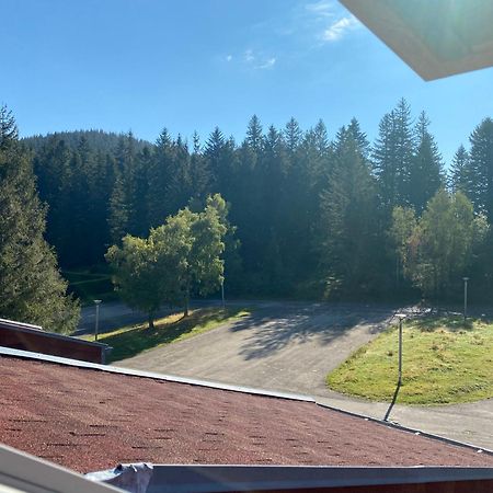 Au P'Tit Nid Douillet De Lea Apartment Muhlbach-sur-Munster ภายนอก รูปภาพ