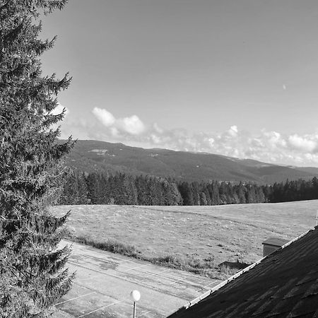 Au P'Tit Nid Douillet De Lea Apartment Muhlbach-sur-Munster ภายนอก รูปภาพ
