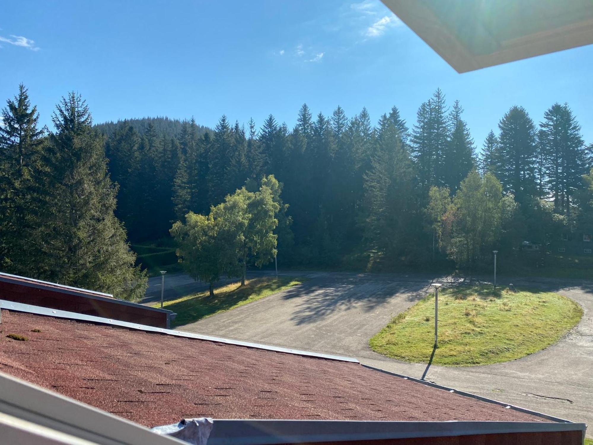 Au P'Tit Nid Douillet De Lea Apartment Muhlbach-sur-Munster ภายนอก รูปภาพ