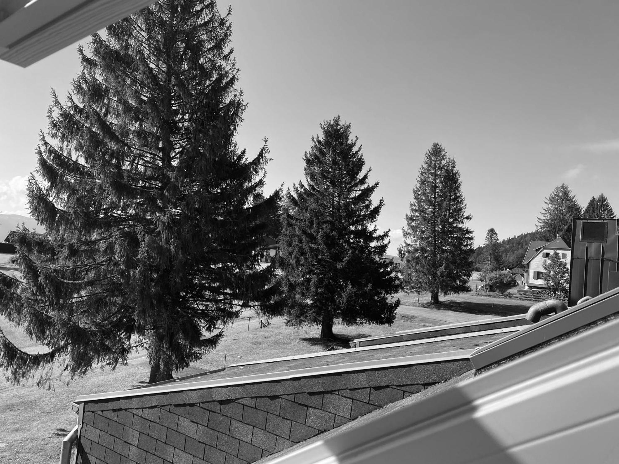 Au P'Tit Nid Douillet De Lea Apartment Muhlbach-sur-Munster ภายนอก รูปภาพ